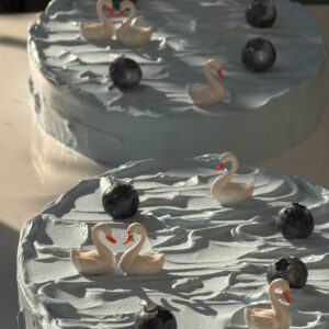 Swans in the blue lake